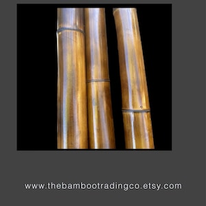3.5&quot; Fire Cured Bamboo Pole 1&#39;-7&#39; in length