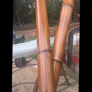 3" Fire - Cured Bamboo Suspension Rig | Heavy Duty| Large Diameter | Handcrafted, Eco-Friendly | Bamboo