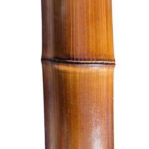 Shibari Bamboo Pole Fire Cured (2” in diameter) You Choose the Length