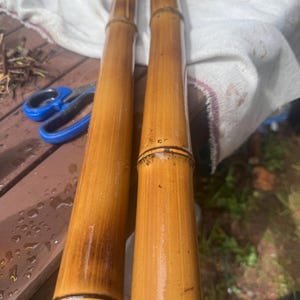 3&quot; Fire Cured Bamboo Pole 1–7 ft | DIY Trellis, Wedding Arch, Garden Projects | NC Grown Sustainable Bamb