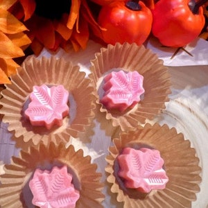 Autumn Aura  | Soy Wax Melts
