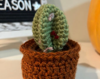 Handmade Crochet Cactus