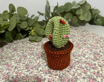 Handmade Crochet Cactus