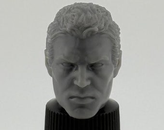 May include: A gray plastic male head sculpt with short, wavy hair. The head is looking straight ahead with a serious expression. The head is mounted on a black bottle cap.