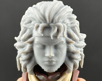 Roque Custom Action Figure Head