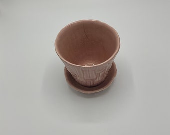 Pink McCoy Bamboo Pattern Planter