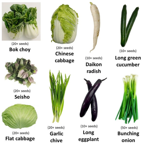 9 Variety Asian Vegetable Seeds 180+ Seeds