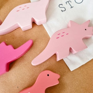 Pink Dino Discovery Wooden Toy Set image 4