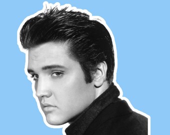 Music Fan Merchandise Elvis Presley Desert Cactus Stickers Sheet - Vintage Vinyl Decals For Laptop, Water Bottle