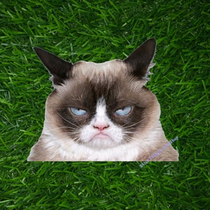 Grumpy Cat Sticker Decal