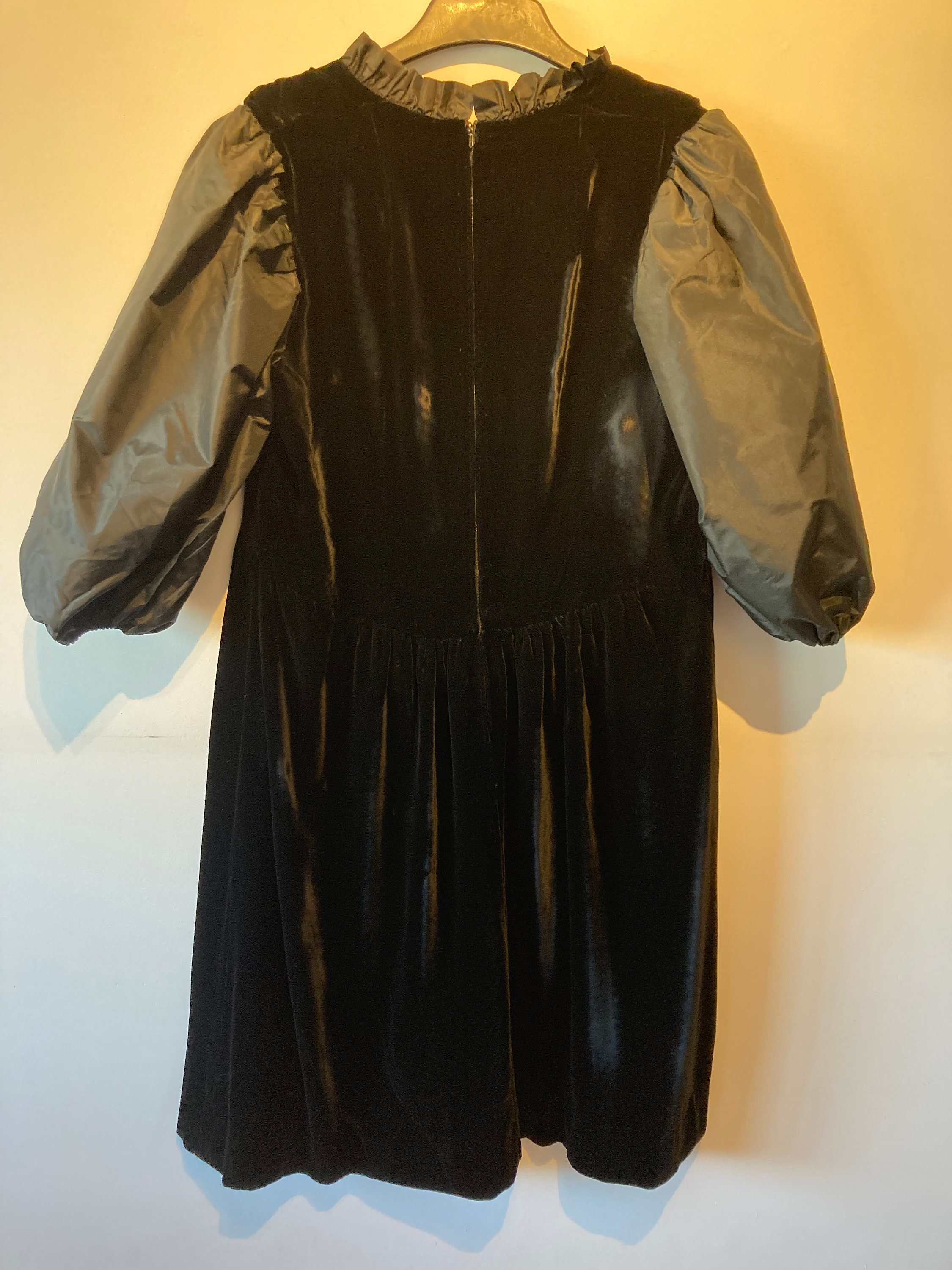 Velvet Silk Sleeve dress