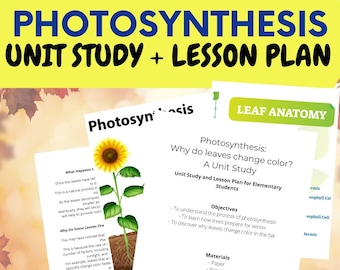 Fall Unit Study: Photosynthesis (Unit Study and Lesson Plan) Low Prep