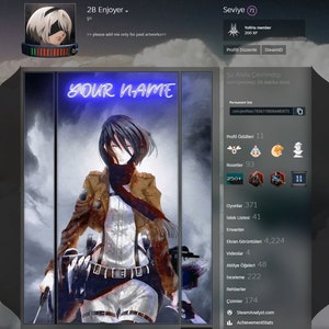 Storm Mikasa - Premium Steam Artwork
