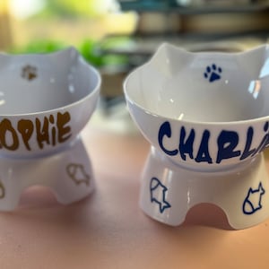 New Design Personalised Cat/kitten Raised Bowl