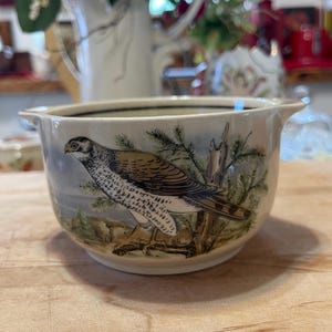 May include: A white ceramic bowl with a black rim and a brown and white bird illustration. The bird is perched on a branch with green leaves. The bowl is on a wooden surface.