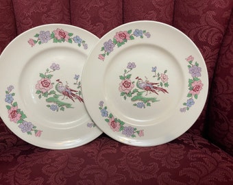 Vintage 1980 Fine Bone China Staffordshire Cathay par de platos de aproximadamente 8" de diámetro. Gran calidad de porcelana. Hecho en Inglaterra. Envío gratuito.