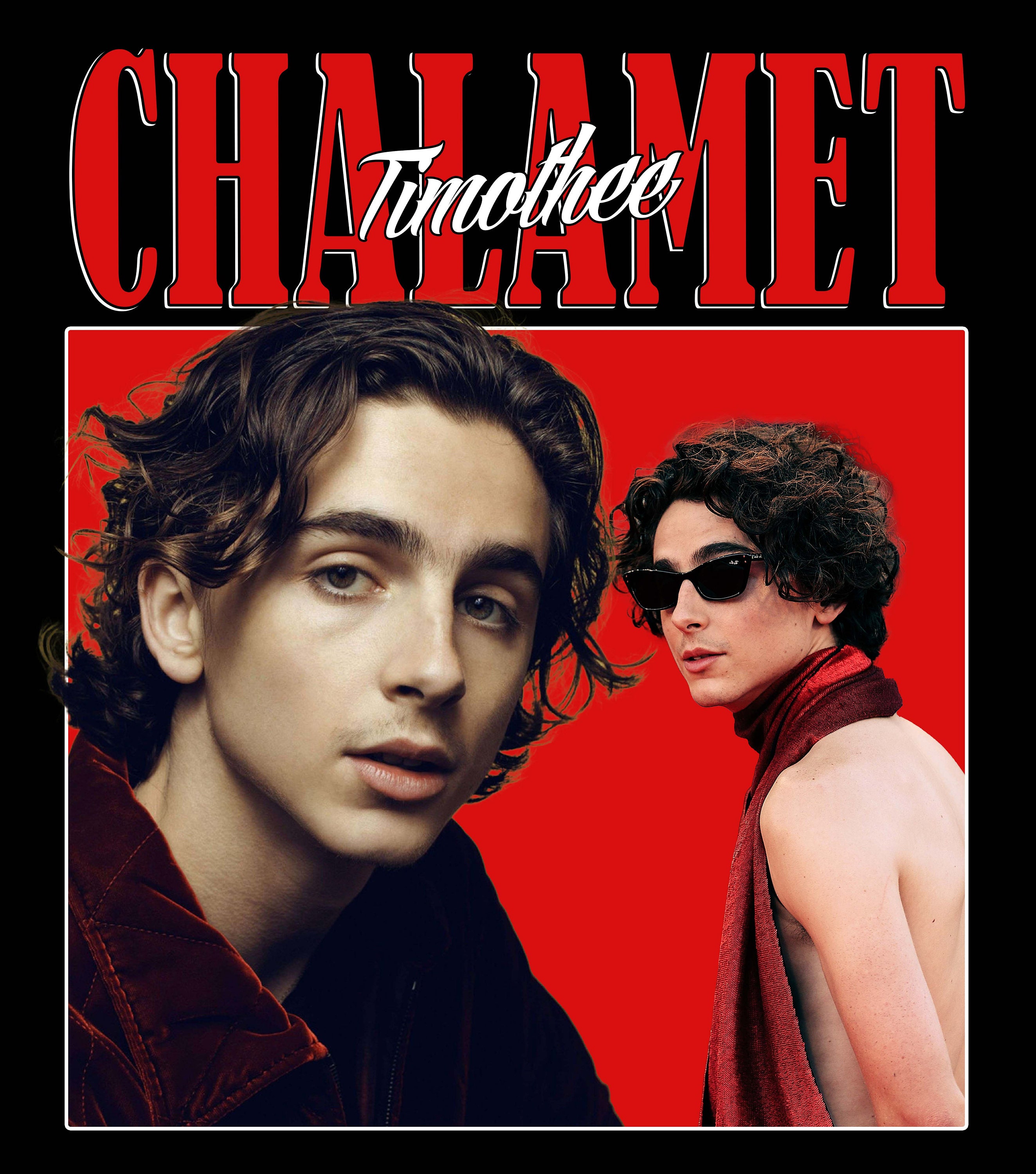Timothee Chalamet Wrapping Paper- Pink Wrapping Paper- Timothee Chalamet  Gift Wrap