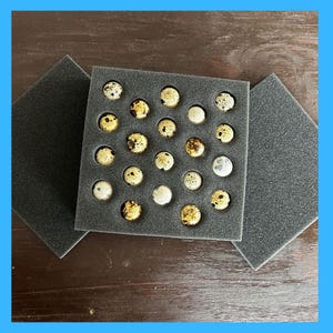May include: A black foam egg carton with 25 quail eggs. The eggs are speckled with brown and white spots.