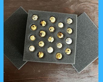 Quail Shipper set 20 Holes