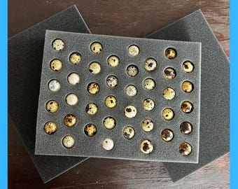 Quail Shipper Set 40 Holes