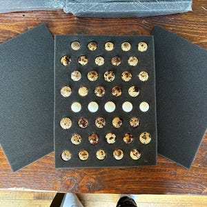 Unfertilized Pet Food Quail Eggs 画像 2