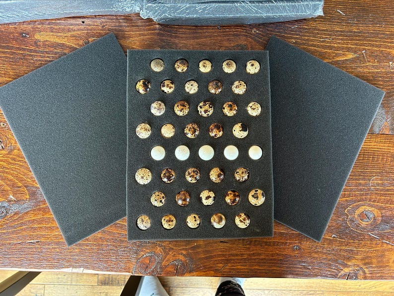 Unfertilized Pet Food Quail Eggs 画像 2