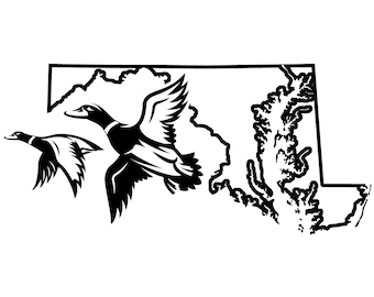 Aves acuáticas de Maryland - Calcomanía