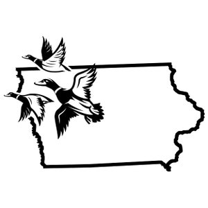 Iowa Waterfowl - Decal
