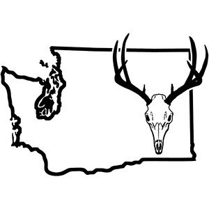 Washington Big Game - Decal