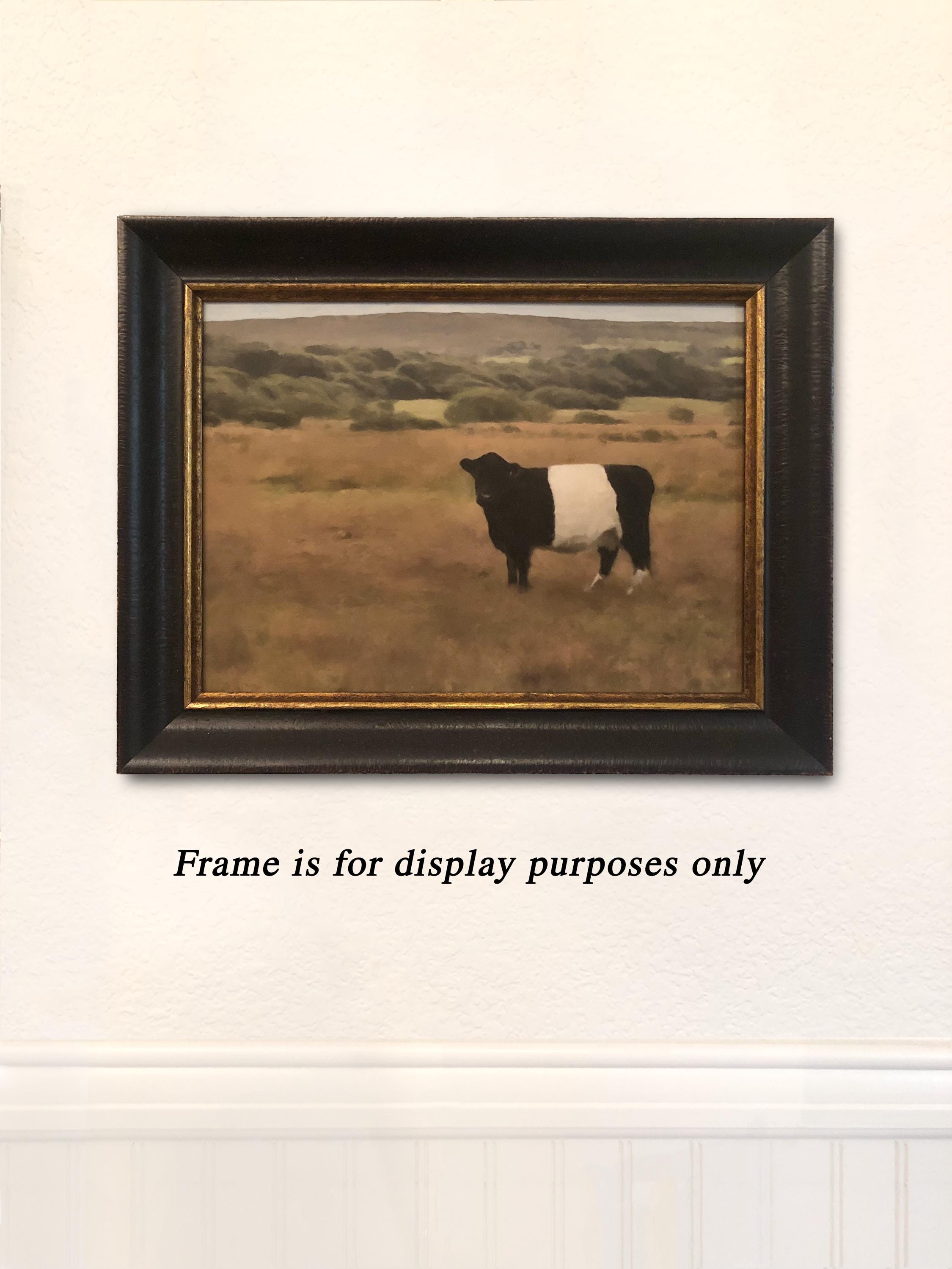 Belted Galloway Oil Painting
