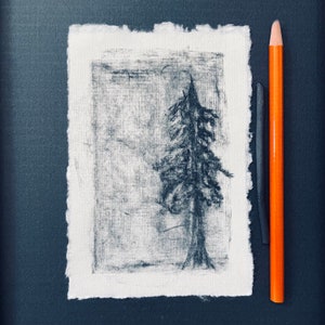Original charcoal sketch Tree Original Art Drawing Black and White