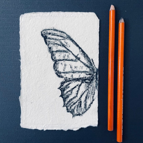 Original charcoal sketch Butterfly Original Art Drawing Black and White