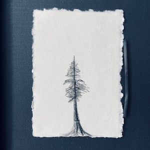 Original charcoal sketch Tree Original Art Drawing Black and White