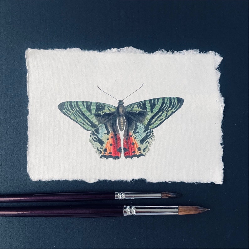 Hand Embellished Vintage Butterfly Moth Print image 1