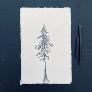 Original charcoal sketch Tree Original Art Drawing Black and White