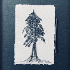 Original charcoal sketch Tree Original Art Drawing Black and White