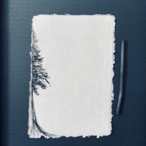 Original charcoal sketch Tree Original Art Drawing Black and White