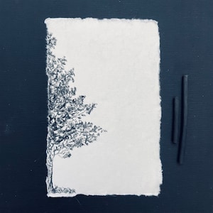 Original charcoal sketch Tree Original Art Drawing Black and White