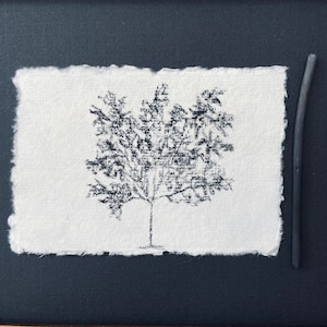 Original charcoal sketch Tree Original Art Drawing Black and White