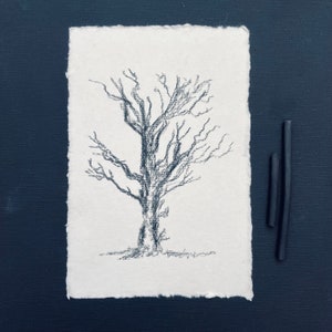 Original charcoal sketch Tree Original Art Drawing Black and White