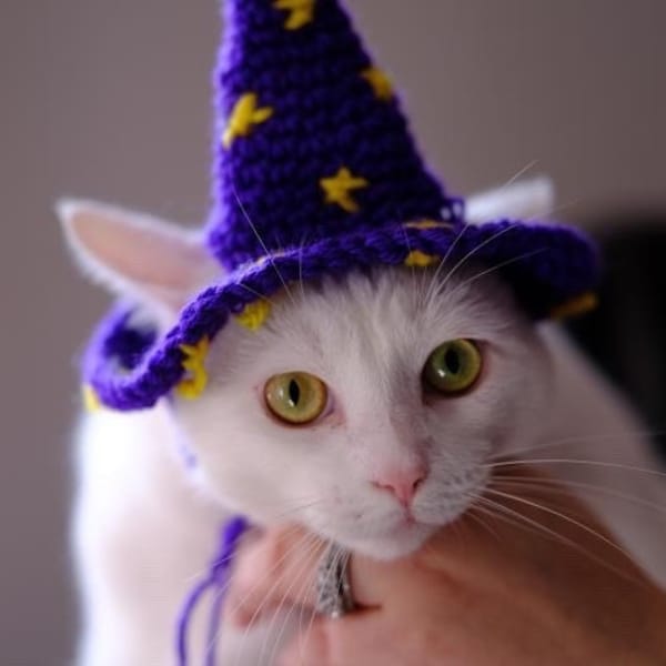 Crochet wizard cat hat pet accessory for cats Halloween costume for pets