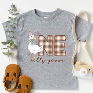 One Silly Goose Birthday Shirt, Custom Age Birthday Tee, Silly Goose Birthday, Turning One Bodysuit, 1 Year Old Birthday Gift, Birthday Tee