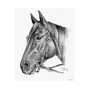 Horse Head, Custom Print