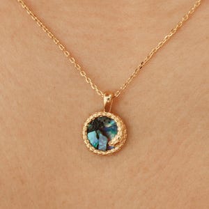 Kleine Kreis Charm Halskette, Abalone Shell, Symbolisch, Mythisch Reptil, ihr Geschenk