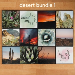 Desert Bundle 8x8 Handmade Photo Tiles, Desert Photography Mixtiles, Photo Wall Art