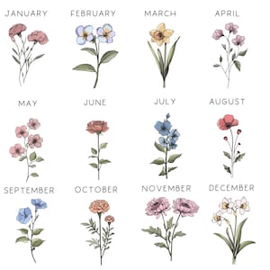 May include: A graphic illustration of twelve different flowers representing each month of the year. January is a pink carnation, February is a blue pansy, March is a yellow daffodil, April is a pink flower, May is a pink flower, June is a red rose, July is a blue flower, August is a red poppy, September is a blue flower, October is an orange flower, November is a white flower, and December is a white flower.