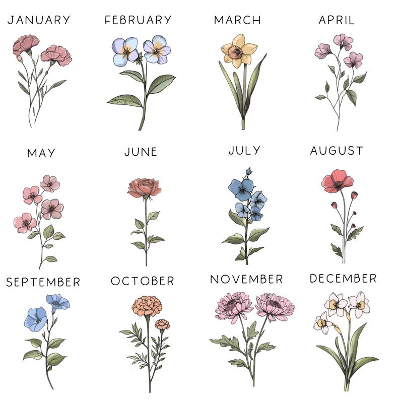 May include: A graphic illustration of twelve different flowers representing each month of the year. January is a pink carnation, February is a blue pansy, March is a yellow daffodil, April is a pink flower, May is a pink flower, June is a red rose, July is a blue flower, August is a red poppy, September is a blue flower, October is an orange flower, November is a white flower, and December is a white flower.