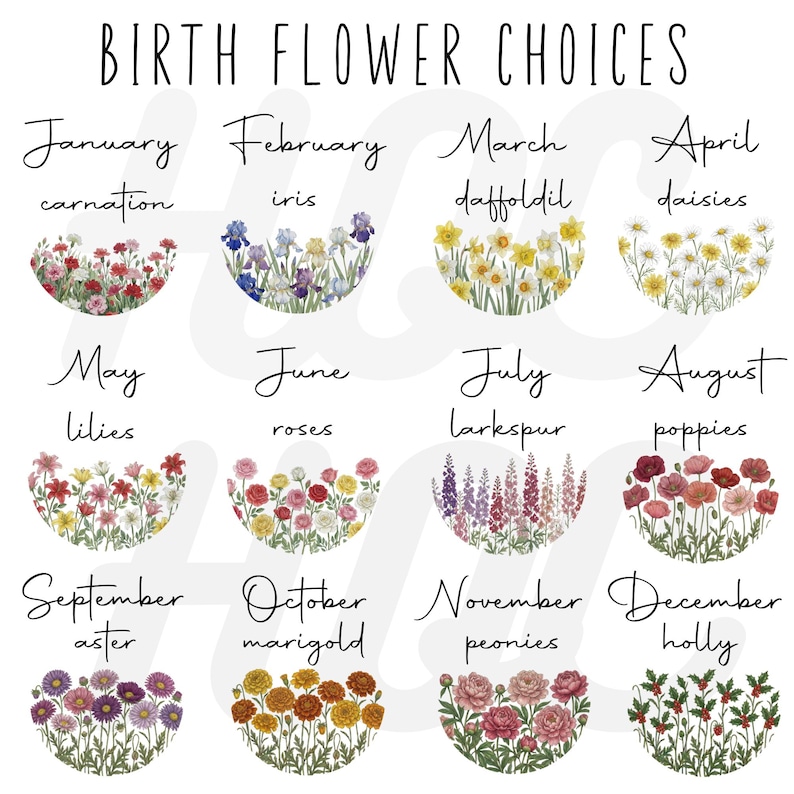 May include: A decorative print featuring birth flower choices for each month of the year. Each month is represented by a different flower, including carnations, irises, daffodils, daisies, lilies, roses, larkspur, poppies, asters, marigolds, peonies, and holly.