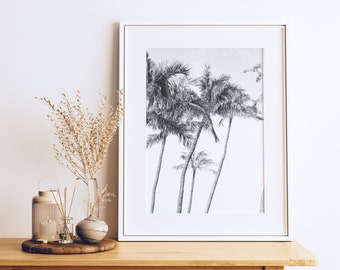 Maui Palm Tree Photography Print: Hawaii Wall Art