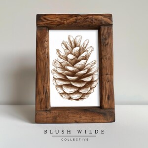 Vintage Pine Cone Botanical Sketch / PRINTABLE Botanical Floral Vintage Drawing / Moody Charcoal Sketch Prints #223